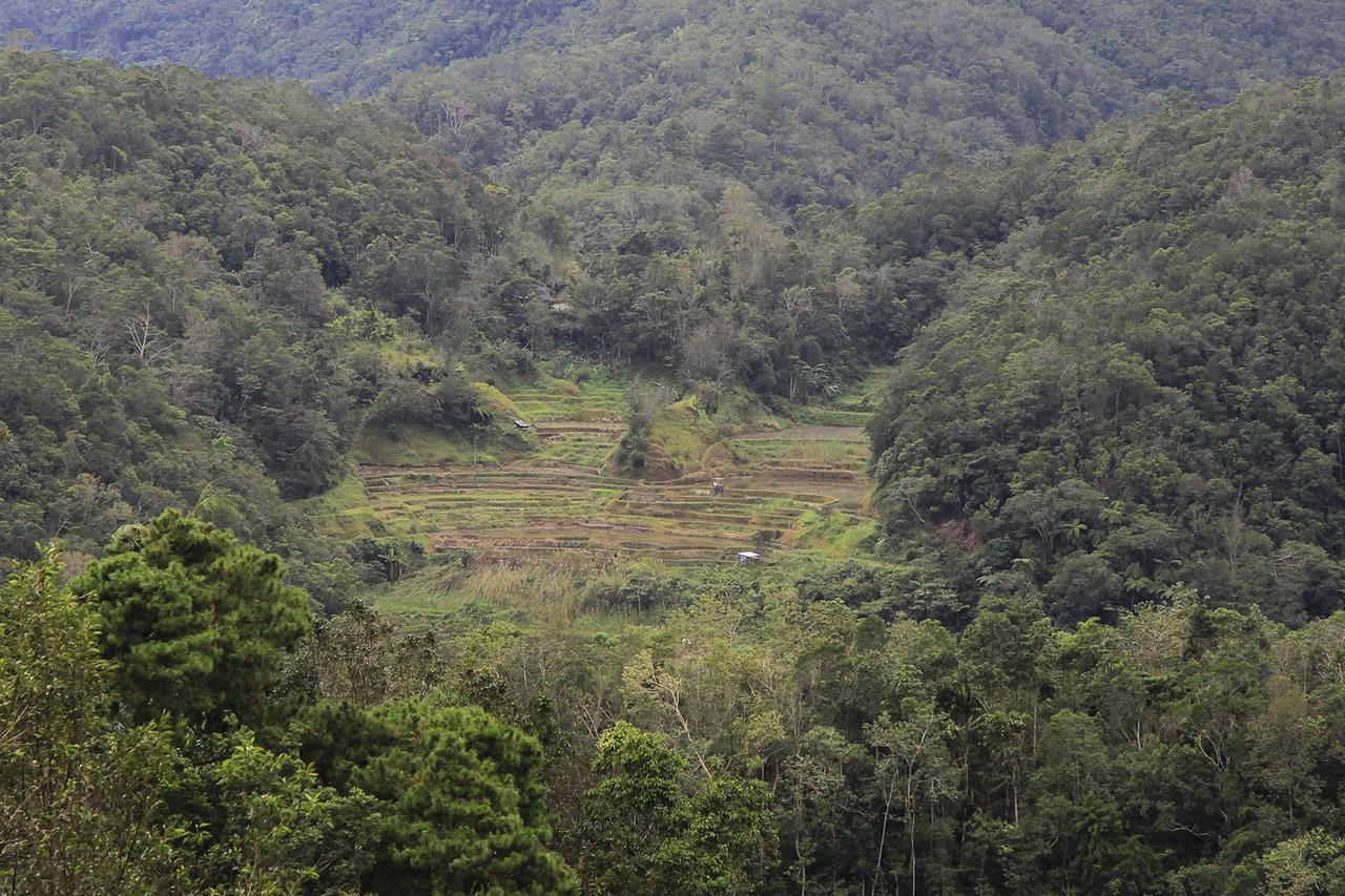Banaue Evergreen Hostel And Restaurant Exterior photo